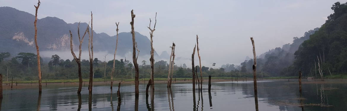 Khao Sok - Back to the roots - 2 days / 1 night
