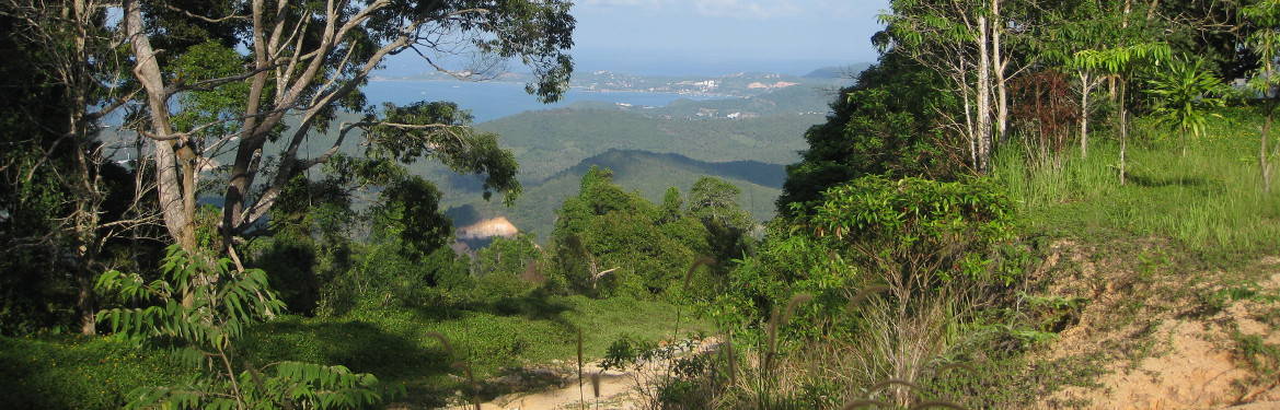 Maenam Viewpoint Trek - A short hike offering grand views over Samui!