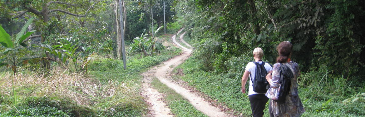 Along the way to the Maenam Viewpoint