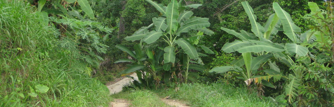 Going down to the Zong Ruave Waterfall