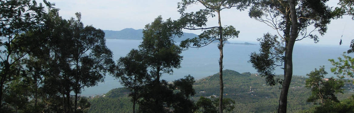 View over Koh Phangan