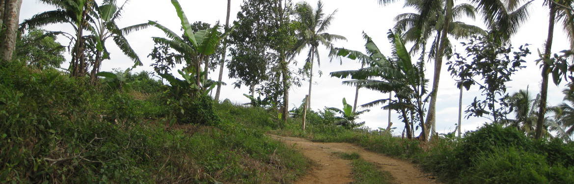 The road leading up to the viewpoint - Lipa Noi Treks