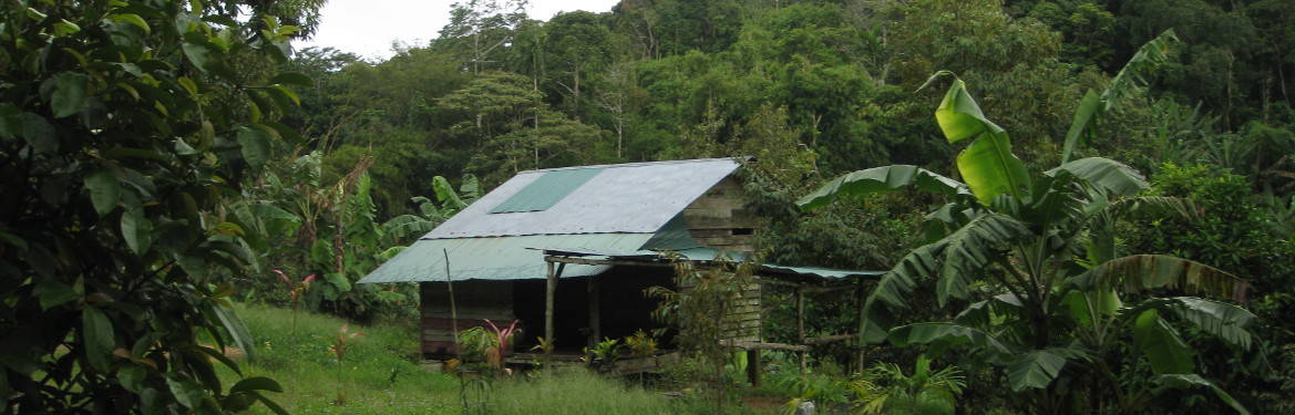 Local house high up in the Samui hills.