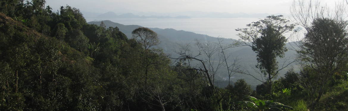 View over Ban Taling Ngam.