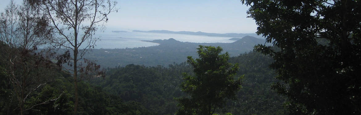 View over the north side of Samui