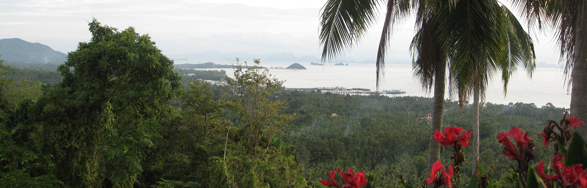 View over the west side of Samui