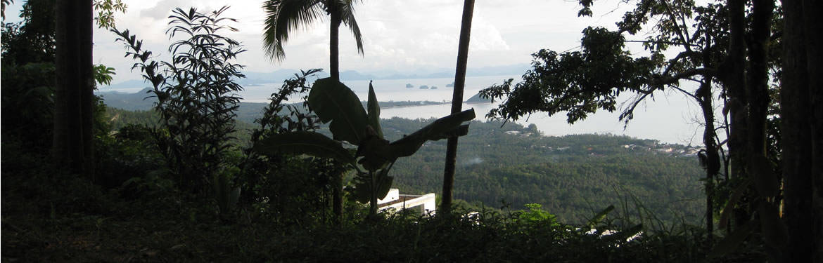 Mountain Ridge Trek - view over Nathon