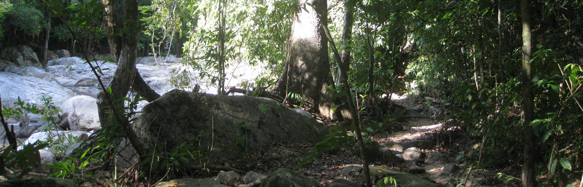 Trek up to the Hin Lad Waterfall.